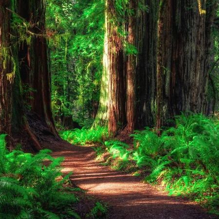 Bear Mountain Suite 10 Grants Pass Eksteriør bilde
